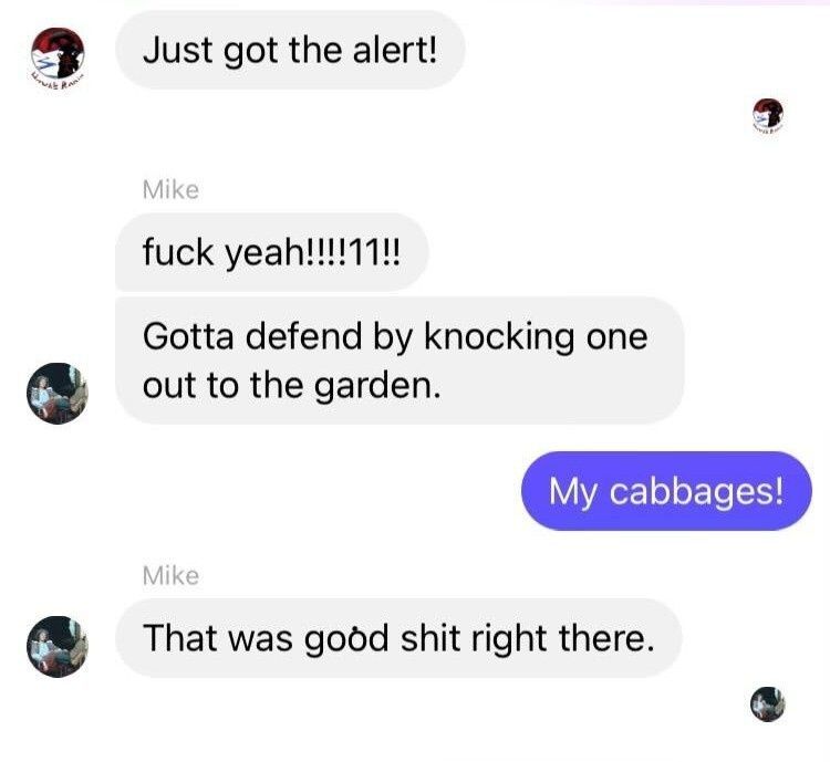 Screenshot of FB Messenger